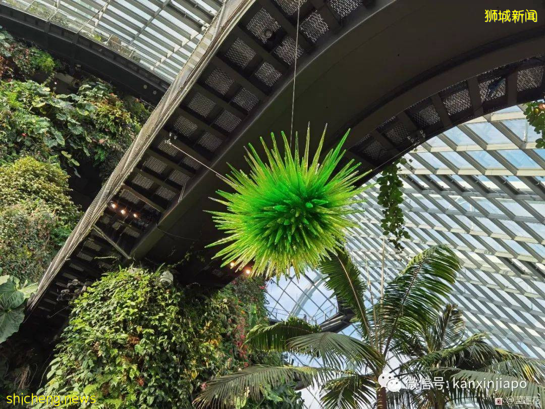 穿越魔幻国度！巨型玻璃艺术品出现在滨海湾