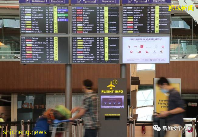 新增517例!新加坡-中國快捷通道6月8日啓用!陰性者無須隔離!