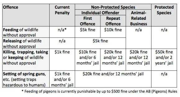 別在 NTU 餵豬了!新加坡的野生動物可不好惹