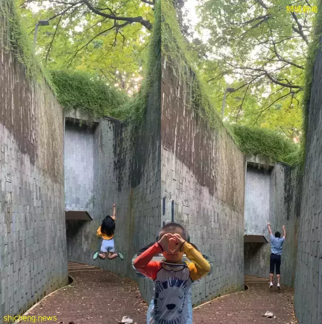 爲了國際化教育來新加坡!結果剛上學第二天就吃冰箱冷飯