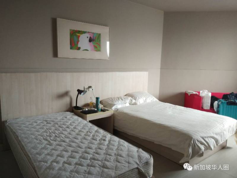 新增11例！網友親述新加坡檢測陰性回國，落地後卻確診感染送院