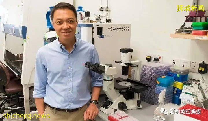 第二波疫情的風險仍在 新加坡研發的疫苗來得及搶先嗎