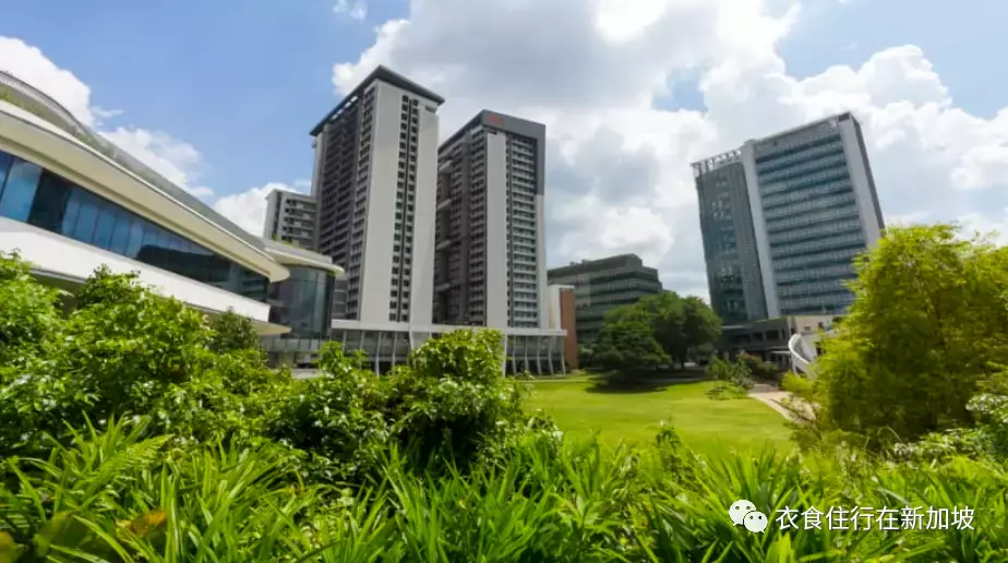 新加坡国立大学，南洋理工大学和新加坡管理大学重申对气候行动的承诺，此前的报告强调了化石燃料行业与大学之间的联系
