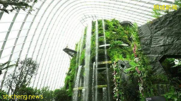 畅游新加坡滨海湾花园