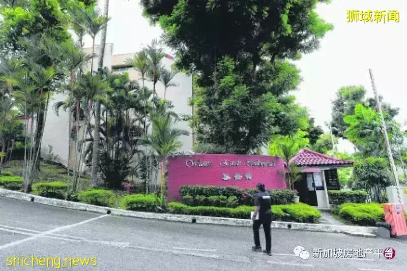 私宅需求强劲集售市场升温