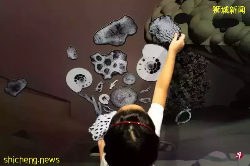 新加坡又一个遛娃好去处!来这里让孩子探索“美术的意义”