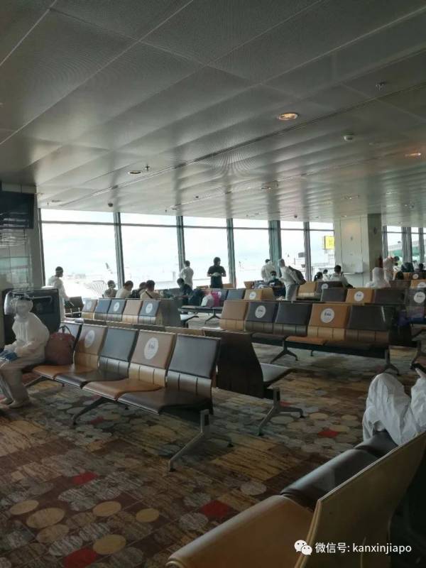 同航班出现感染病例,两老从新加坡回成都一波三折