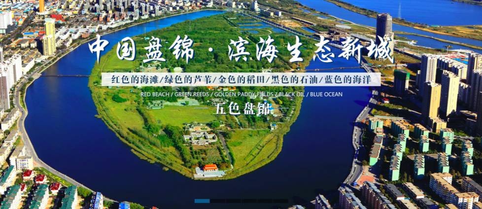 新加坡终于有好吃的东北大米啦!一经上市就被抢购一空!快来尝鲜吧