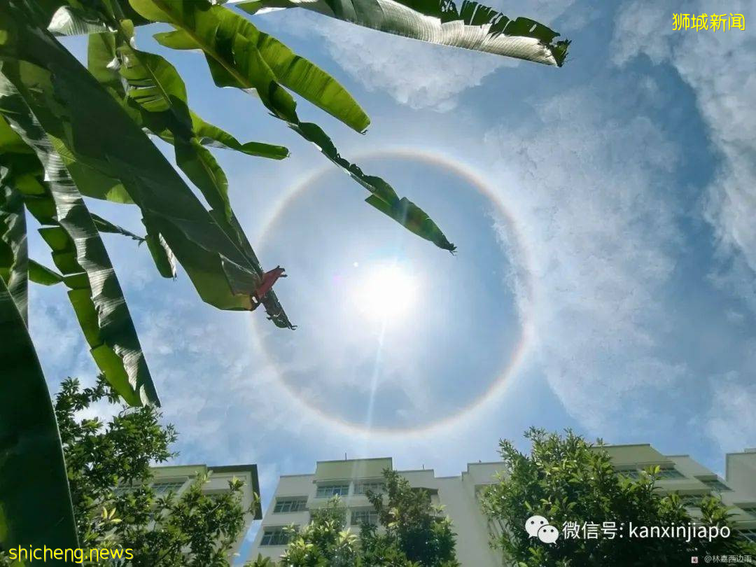罕见!新加坡出现日晕,祥瑞之兆