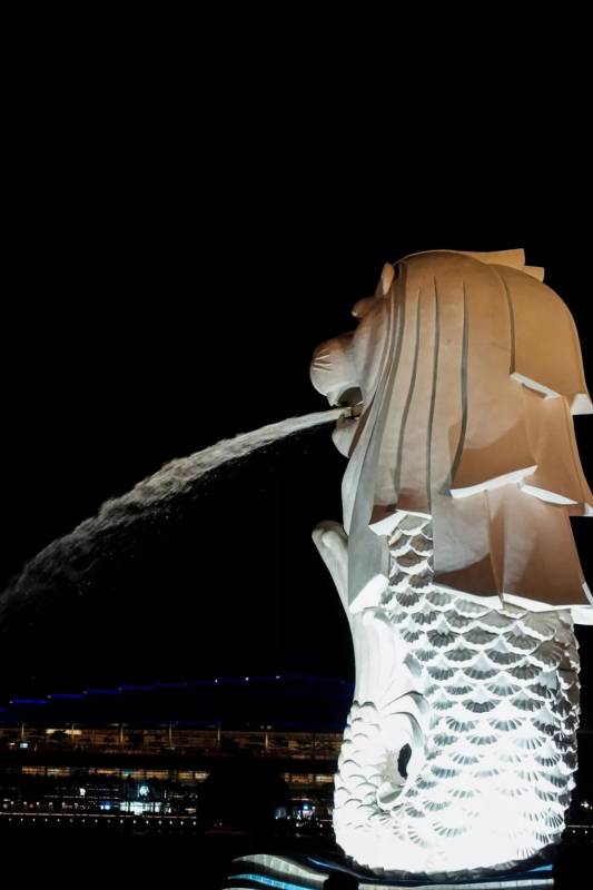 【旅行游记|如果没有去这些景点，如同没有去过新加坡】