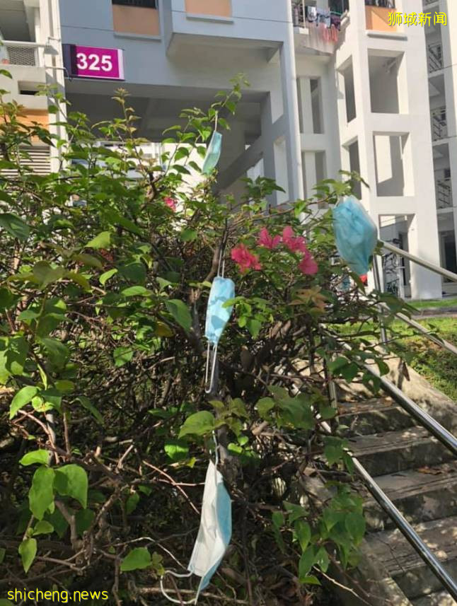 新加坡驚現“口罩樹”,造出這種新植物的你真沒點責任心