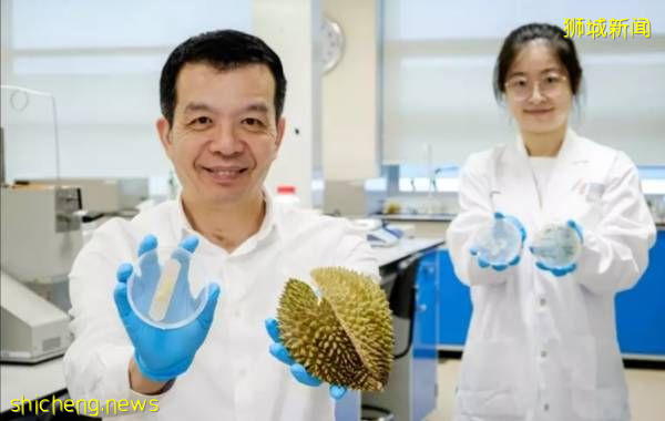 榴梿壳制成抗菌绷带  新国科学家废物变宝