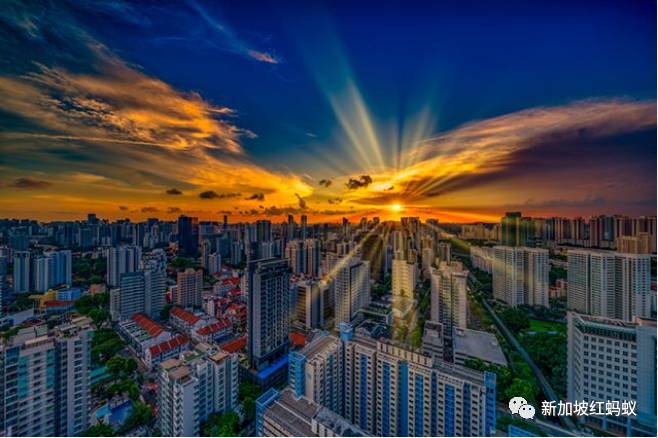 新加坡人镜头下“家的形状”是什么? 答案就在2500多张照片里