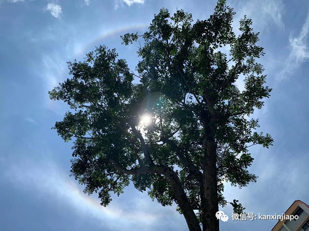 朋友圈刷屏!日晕奇景你们拍到了吗?