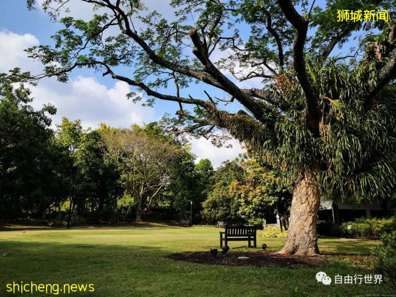 疫情過後,去新加坡不可錯過的16個體驗!