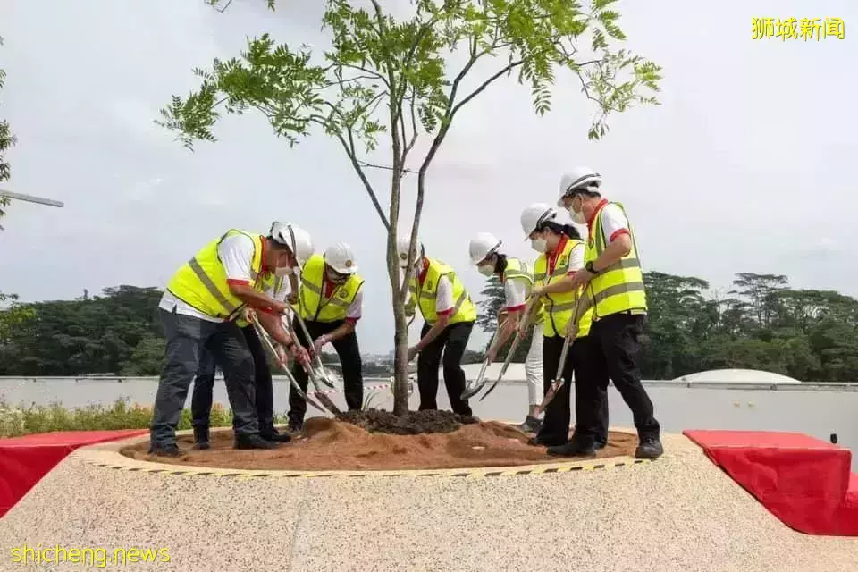 羨慕！新加坡東部又開新商場，兒童遊樂場、美食中心、圖書館