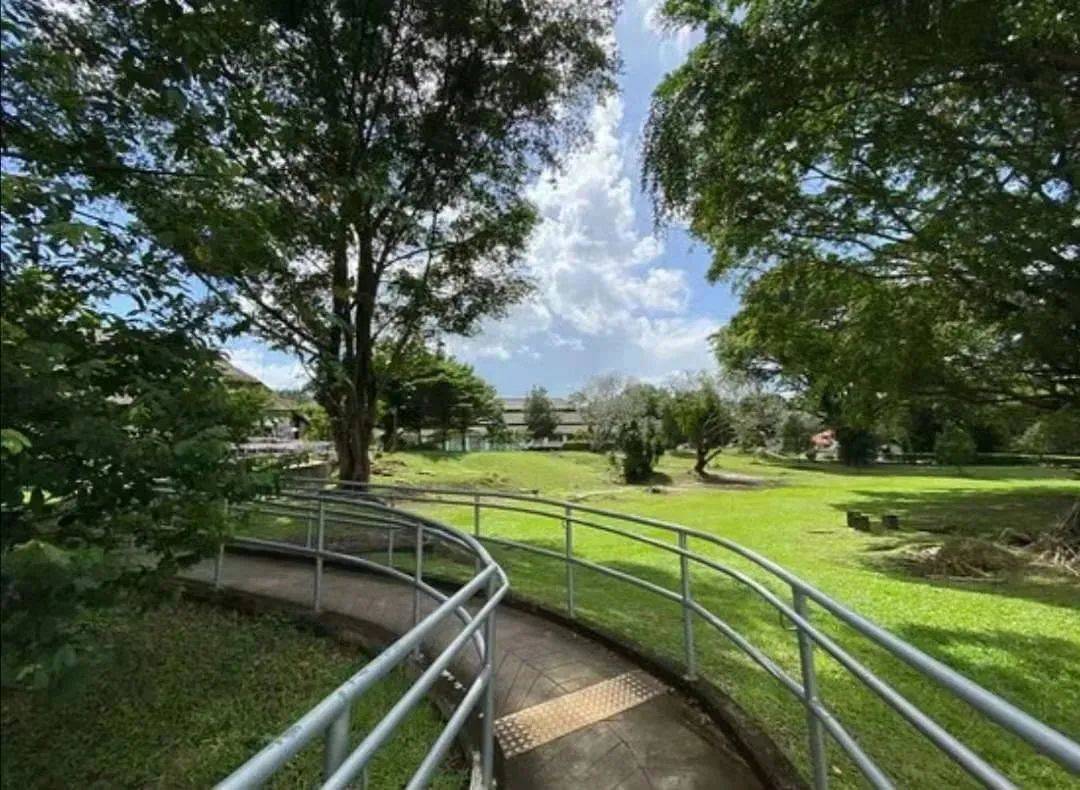 新加坡最像欧洲小镇的小山坡,藏着30多家好吃好玩好逛的文艺感小店