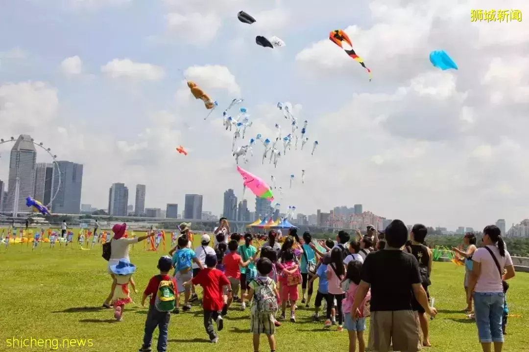 新加坡随处放风筝可能被罚款!6个合法放风筝地点收好不谢