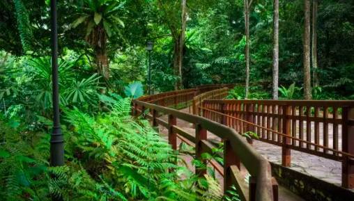 當騎行遇上新加坡,體驗獅城的無限魅力