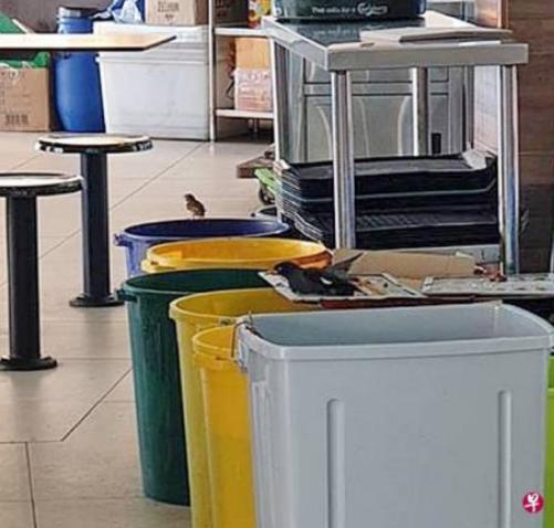 被指用强力胶除鸟患 业者否认 大吐苦水