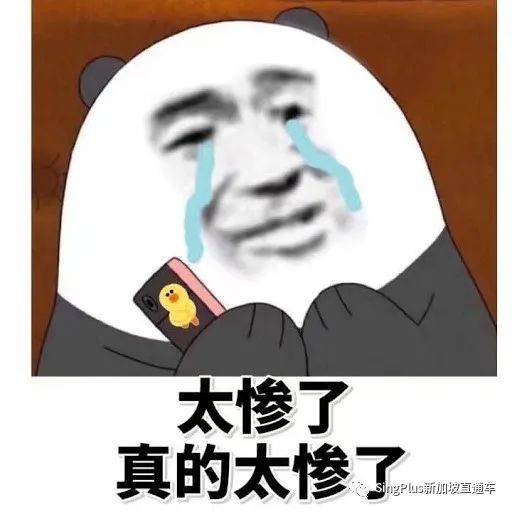 就離譜!都2021了,新加坡怎麽還會有這麽狗血的"婚鬧"