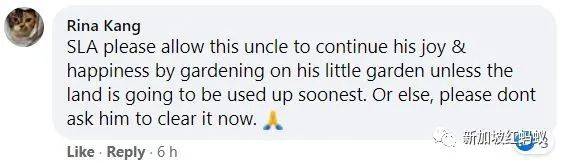 獅城“陶淵明”花10年悄悄在叢林裏開拓“世外桃源”　一朝被徒步者舉報，被令撤離