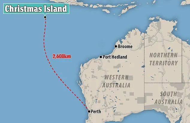 突發！這個海灘驚現一群巨型椰子蟹，還搶燒烤吃！新加坡也被鳄魚、蜥蜴、蟒蛇、水獺、猴子、野豬、野雞嚇到過