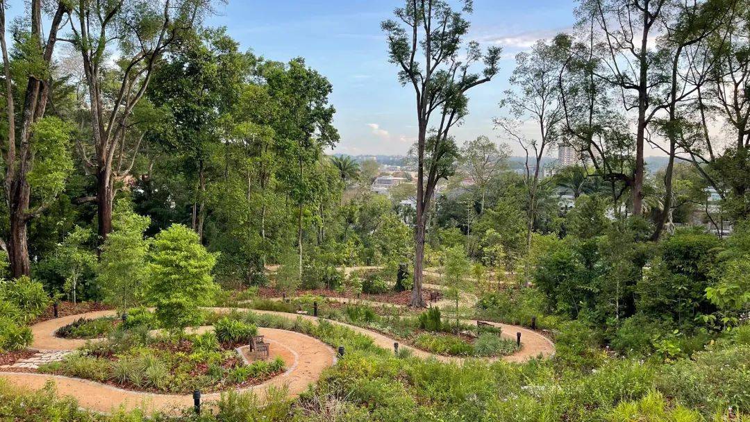 溜娃新去處!新加坡植物園推出新景點!COMO小樹林、巨型波羅蜜、探秘館、藝廊開放啦