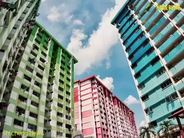 发达的新加坡，竟然随处可见小动物！新加坡冷知识（精选集）