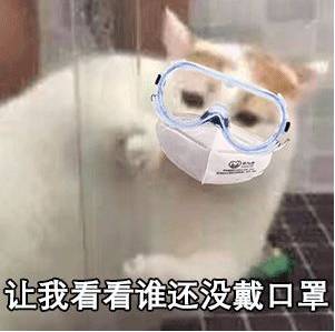 新加坡中秋節去哪裏看燈?拿來吧你