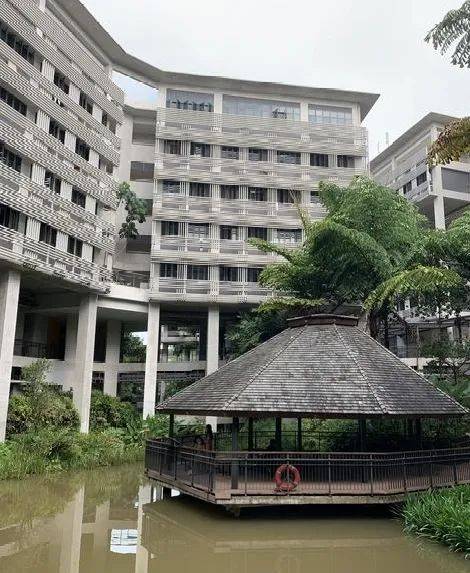 新加坡最新調查顯示好環境有利學習，新加坡的大學環境如何