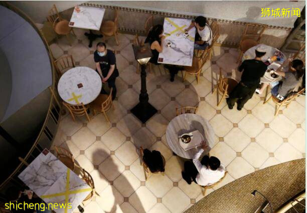 新加坡已收到10万起违反安全距离投诉？不愧是全球最爱投诉的国家