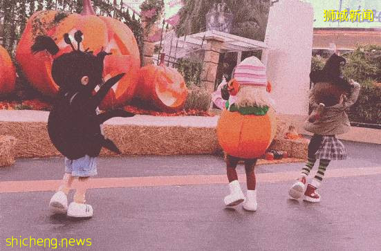 抢先看！环球影城万圣节惊魂夜“捣蛋更刺激”回来啦