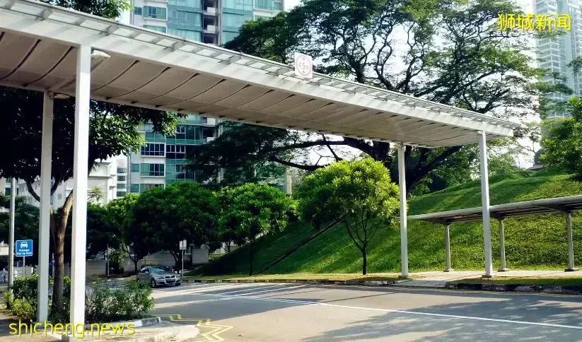 我勸你,千萬別來新加坡