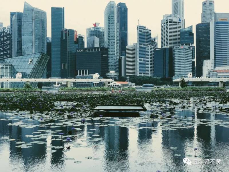 新加坡第一次让我想要写游记叻