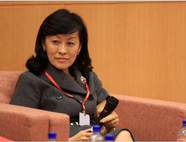 疫情、大选、骨痛热、经济压力...国父遗嘱再出风云，新加坡太南了