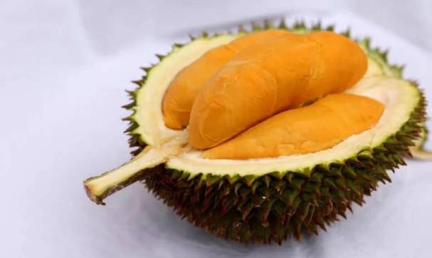 新加坡 生活小tips,融入当地生活