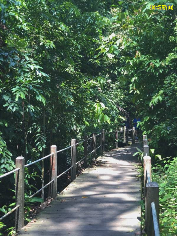 新加坡“惡勢力”源頭所在的“寶藏地”在哪裏