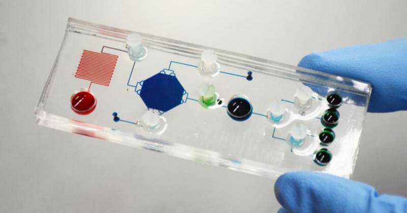 新加坡国大研发新技术 检测患cancer只需2小时