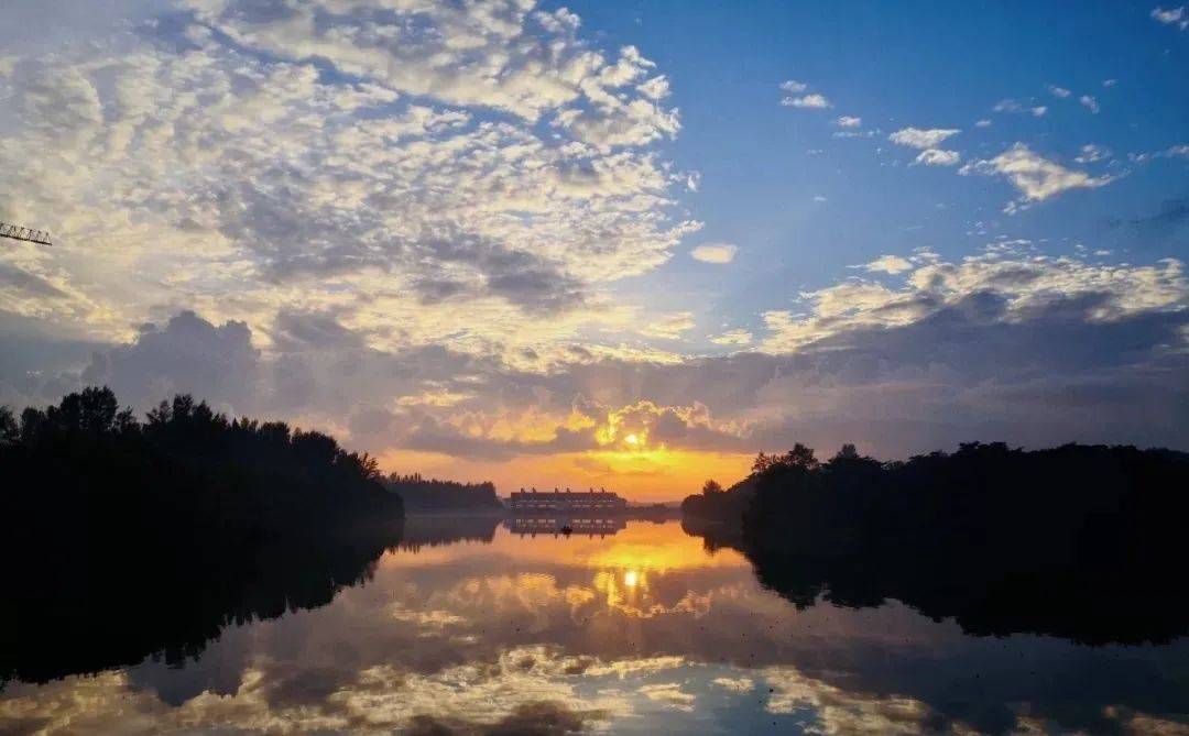 新加坡最美打卡樹集合 一起來看看吧