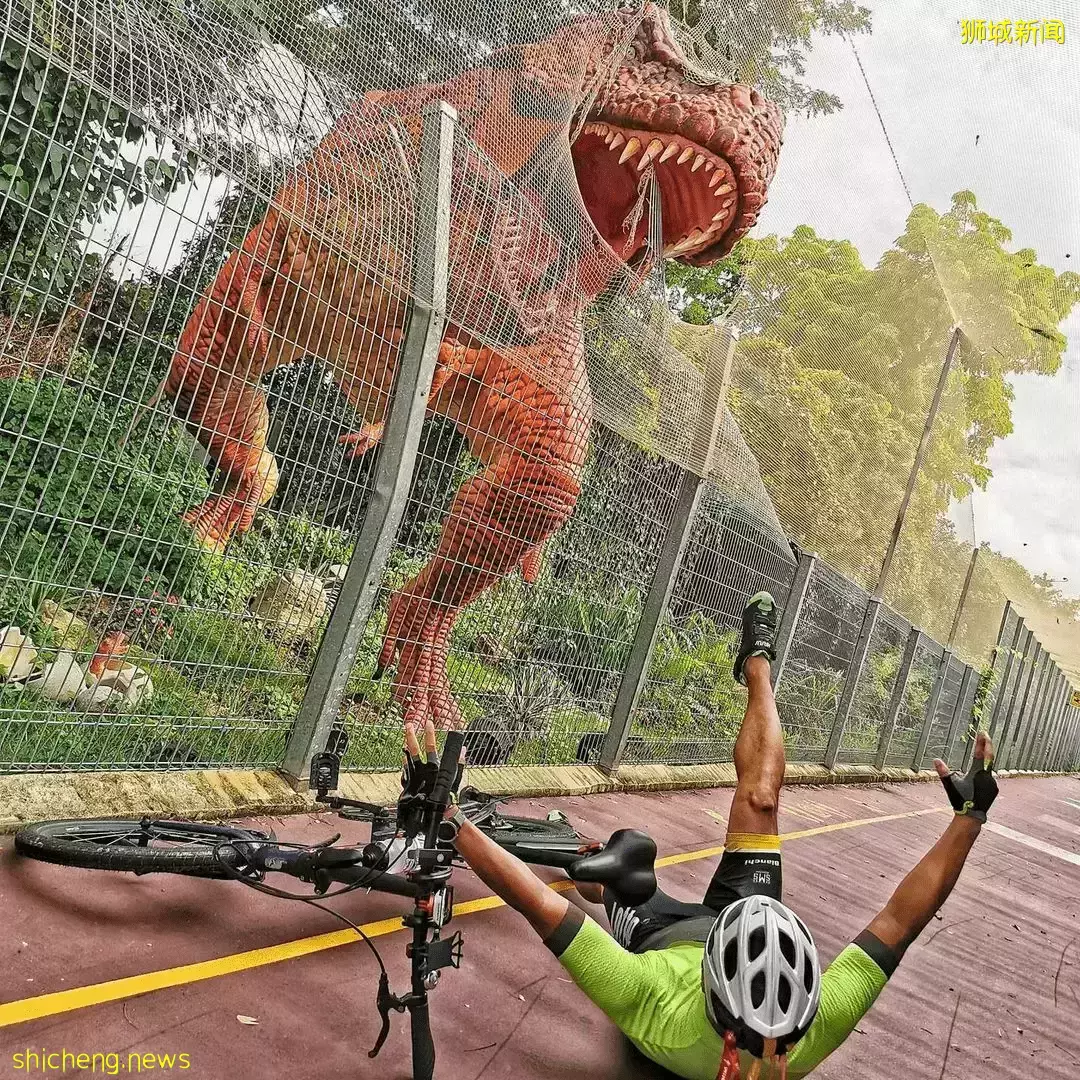 甩肉去！新加坡最美9条骑行路线