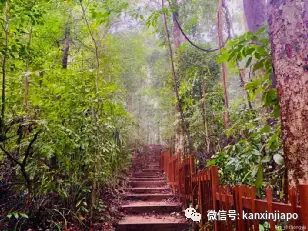 【下周活动】KFC超值双人餐、周董新加坡演唱会即将售票、鉴书大赛赢取$100购书券