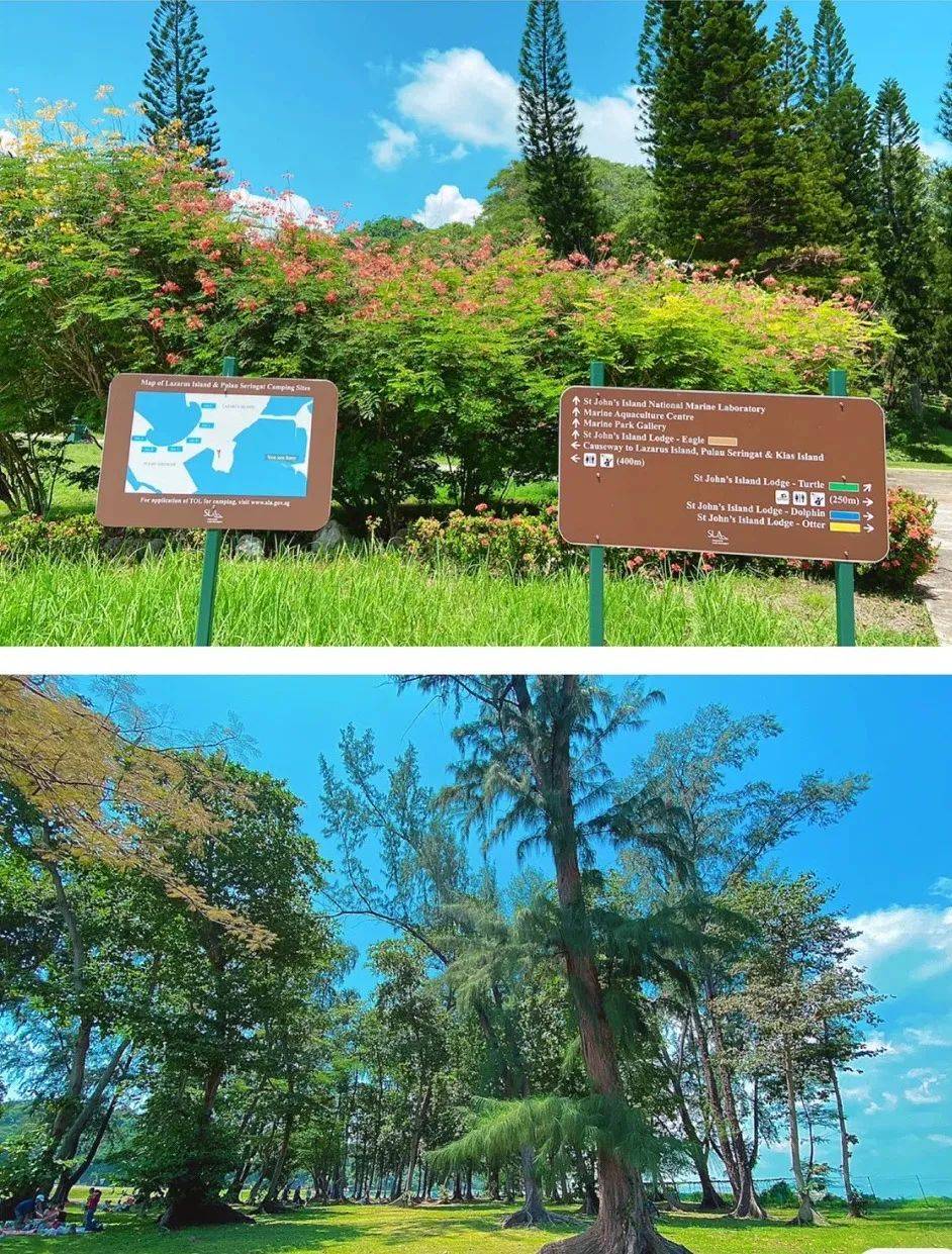 新加坡境內絕美海島探秘來了