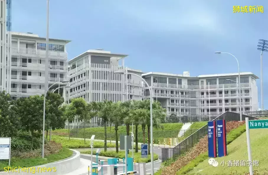 新加坡留學校內住宿：如何get限量版好房