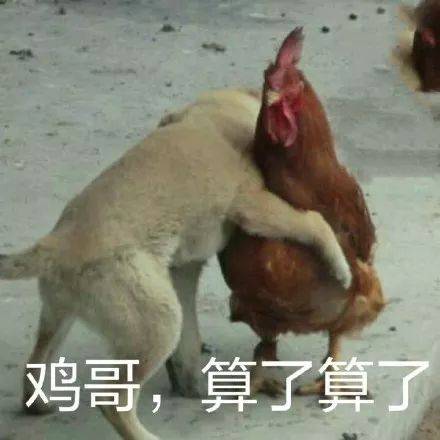 “吃鸡”货不对板！新加坡老板霸气回应：有胸有腿就是半只鸡