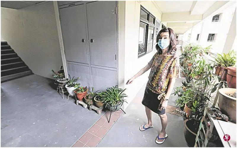 讓兩鄰居交惡一年的，竟然是它