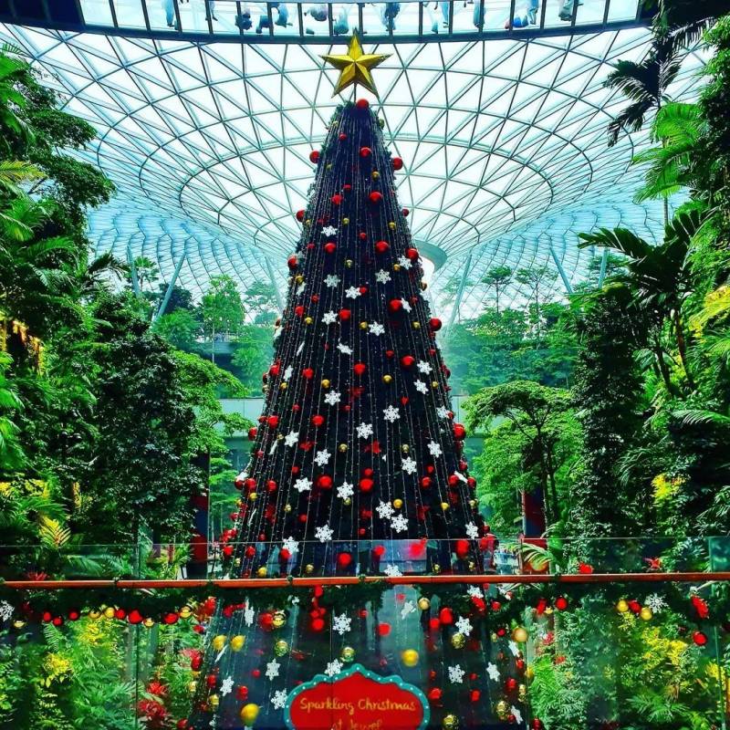 聖誕即將到來,這個地方既能遛娃又能找到新的cafe的