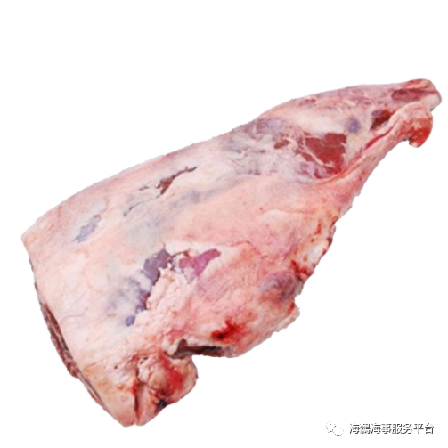 海鸏商城 101购物狂欢节!