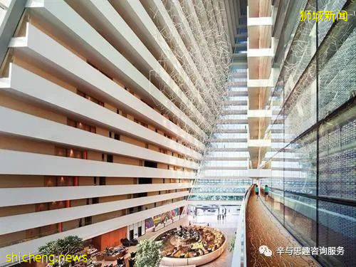 新加坡旅游攻略及指南