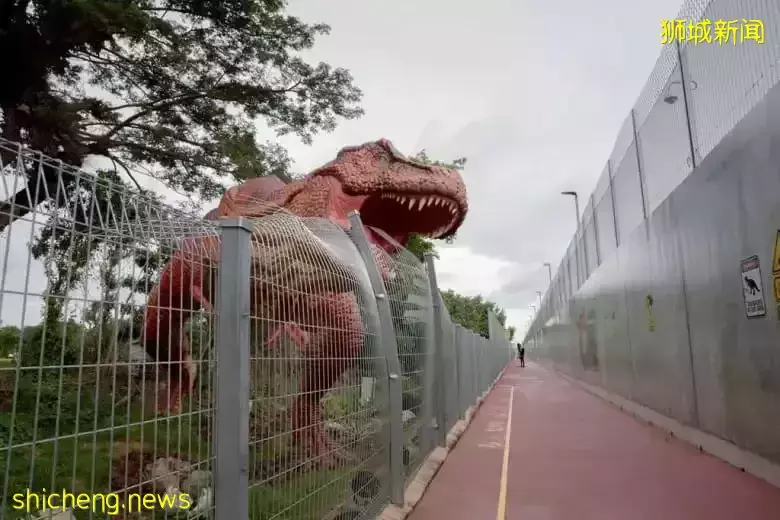 超级奶爸!带着2岁女儿骑行17小时166公里,环游新加坡